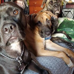 Meet your Posher, Brenda